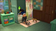 Дополнение Sims 4 Кошки и собаки