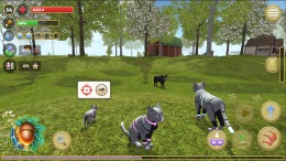 Геймплей Cat Simulator : Animals on Farm