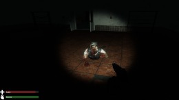 Asylum of the Dead на PC