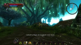 Скриншот игры Kingdoms of Amalur: Re-Reckoning