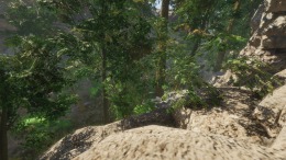 Скриншот игры Forest