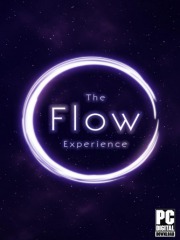 The Flow Experience