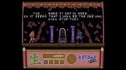 Игровой мир Katana Soul
