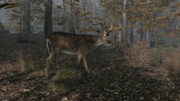 Геймплей Pro Deer Hunting 2