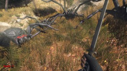 Forest spiders на PC