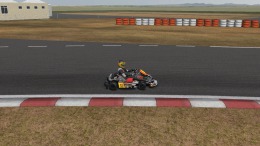 Скриншот игры Kart Racing Pro