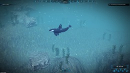 Скриншот игры Aquatico