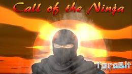 Call of the Ninja! стрим