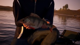 Игровой мир Fishing Sim World: Pro Tour