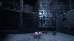 Скриншот игры Rat Cage