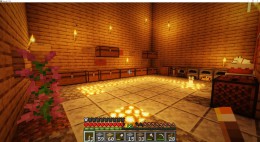 скриншот игры Minecraft с компьютера