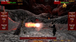 Скриншот игры Dragon Hunters