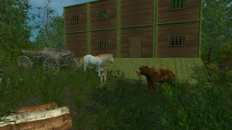 Скриншот игры Trials of Wilderness
