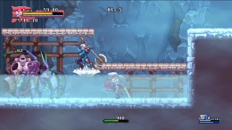 Dragon Marked For Death на PC