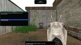Скриншот игры Brigand: Oaxaca