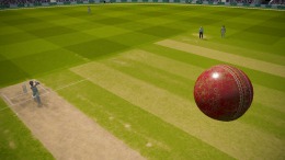 Локация Cricket 19