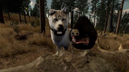 Скриншот игры WolfQuest