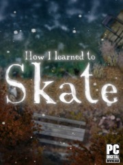 How I learned to Skate