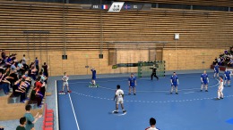 Прохождение игры IHF Handball Challenge 12