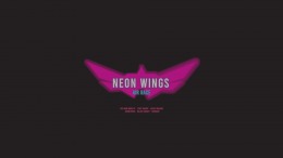 Геймплей Neon Wings: Air Race