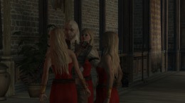 Скриншот игры The Witcher