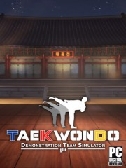 Taekwondo Demonstration Team Simulator