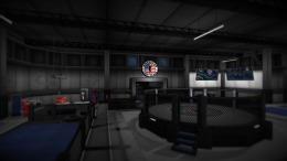 Игровой мир MMA Arena