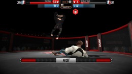 Скриншот игры MMA Arena