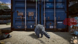 Wanted Raccoon на компьютер