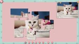 1001 Jigsaw. Cute Cats 2 на PC