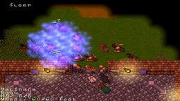 Скриншот игры Knights of the Chalice