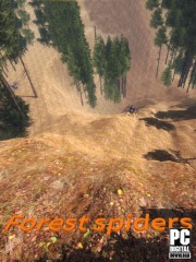 Forest spiders
