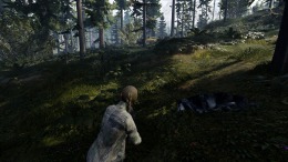 Скриншот игры Hunting Simulator