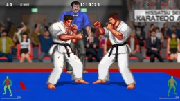 Скриншот игры Karate Master 2 Knock Down Blow