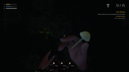 Скриншот игры Mushroom Picker Simulator