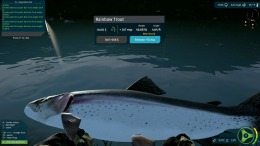 Ultimate Fishing Simulator VR на компьютер