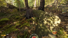 Локация Forest Ranger Simulator