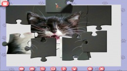 1001 Jigsaw. Cute Cats 4 на PC