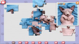 Геймплей 1001 Jigsaw. Cute Cats 5