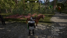 Прохождение игры Epic Knight 2
