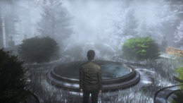 Скриншот игры The Frozen Garden